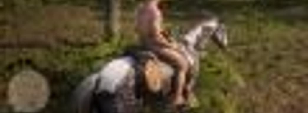 Игрок раздел главного героя Red Dead Redemption 2 и не обнаружил одной важной детали