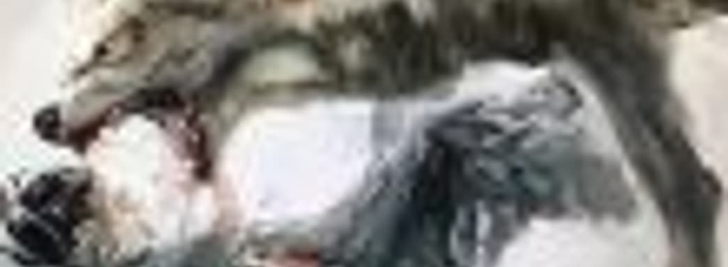 Студия-разработчик PS4-эксклюзива Wild ищет новых сотрудников