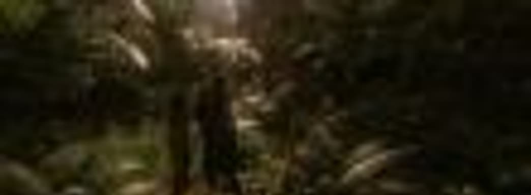 Симулятор выживания Green Hell представят в Москве на конференции White Nights