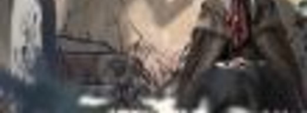 Bloodborne 2? Один из руководителей Sony встретился с сотрудниками FromSoftware