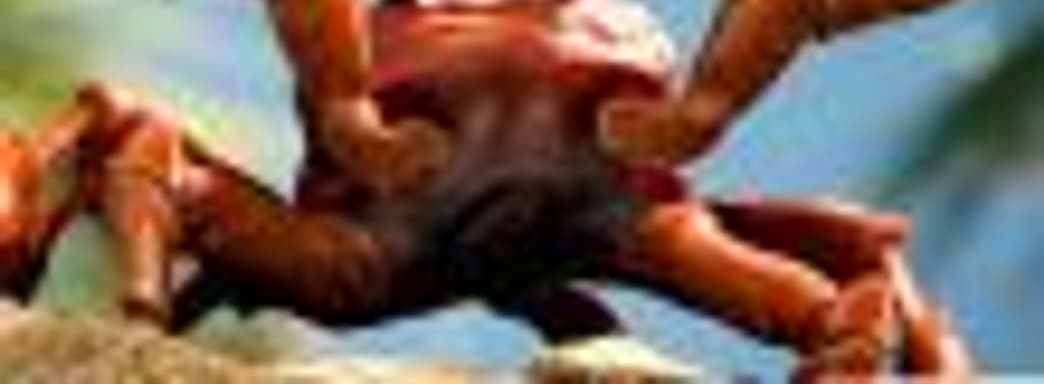 Вот так выглядит вечеринка крабов в Battlefield V