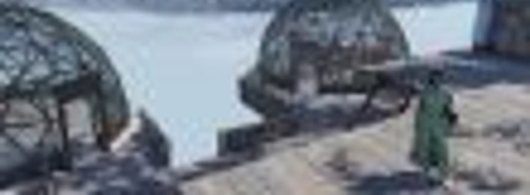 Баг в Fallout 76 позволяет строить базы под картой мира