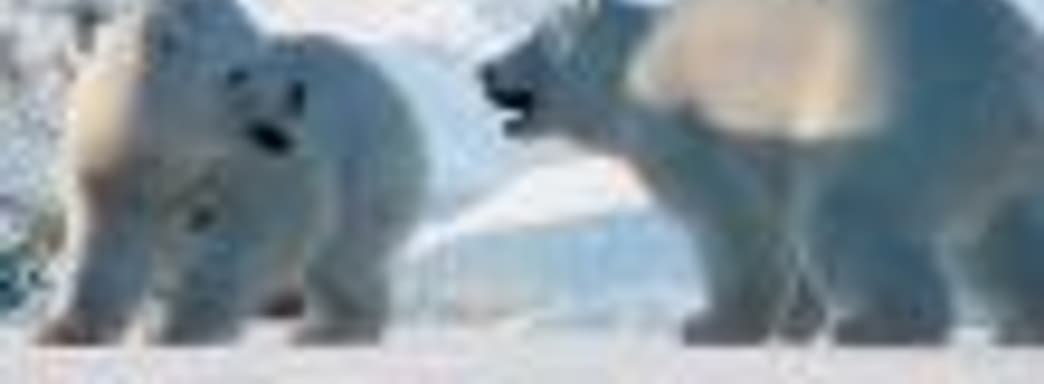 Снег и звери – трейлер дополнения Arctic Pack для Planet Zoo