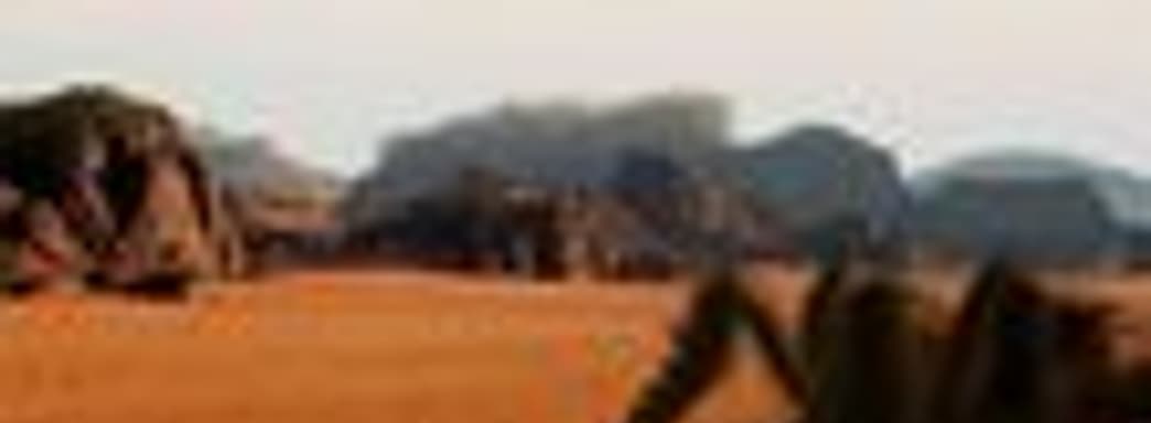 Первый скриншот Shadow of the Colossus 2...оказался «липовым»