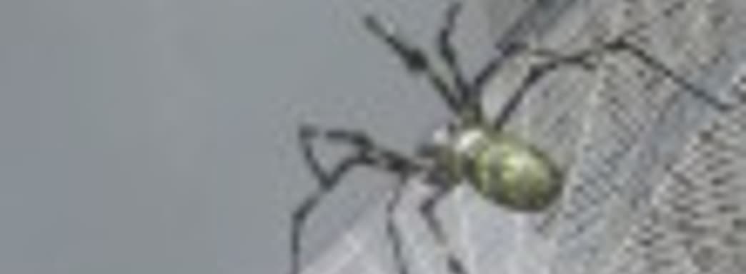 Earth Defense Force 2025 — день независимости