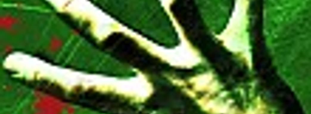 Left 4 Dead – зомби-чехарда