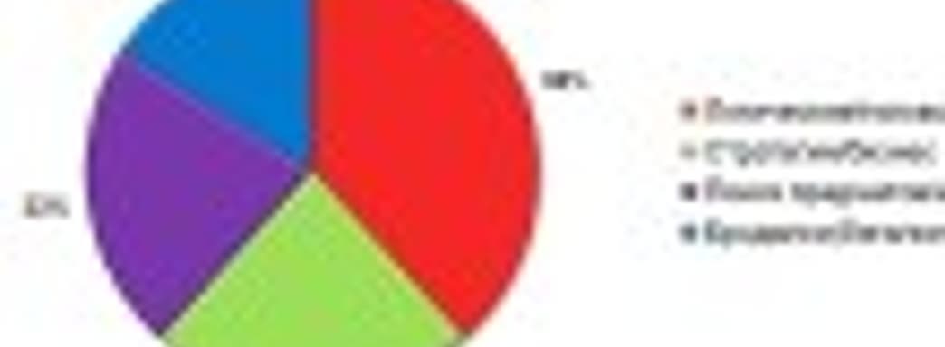 Портрет казуального игрока-2009 – результаты независимого исследования TOY-Opinion