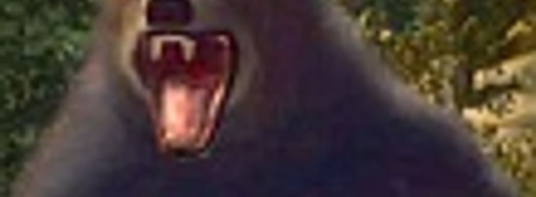 Aсtivision готовит игру про охоту на диких животных для Kinect