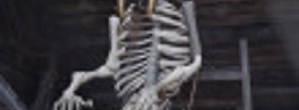 Хакеры-некроманты - в Red Dead Redemption 2 появились двухголовые скелеты