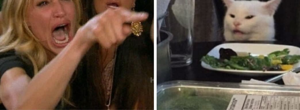 В The Sims 4 воссоздали мем «девушка орёт на кота»