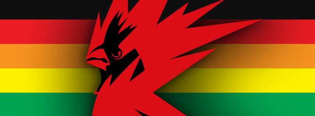 Гомофобия не пройдёт! – CD Projekt Red выпустила «радужную» футболку