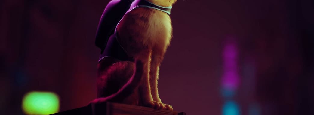 Появились подробности о консольном PS5-эксклюзиве Stray про кота в кибергороде