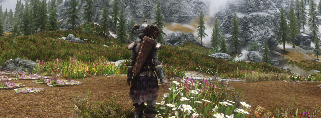 Блогер посчитал количество деревьев в TES V: Skyrim и получил подсказку от Тодда Говарда о контенте The Elder Scrolls VI