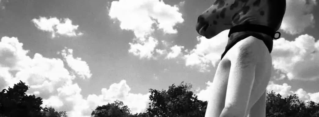 GOG justifica su decisión de vender el provocador juego de terror sobre pervertidos, Horses, como una "defensa de valores" y una "cuestión de libertad"