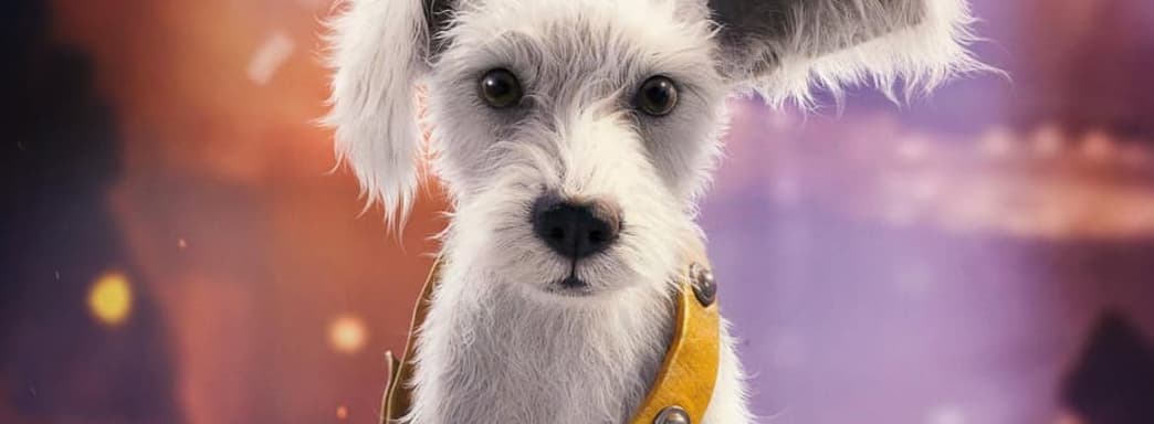 James Gunn ahorró: DC mostró un nuevo teaser de "Supergirl" con el superperro Krypto en el "Puppy Bowl"