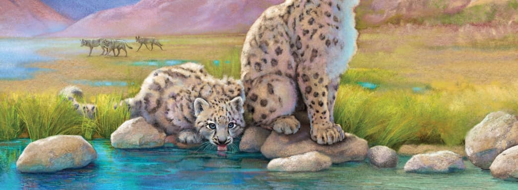 Pre-order for "Nature" is open - a board game about the evolutionary development of animals