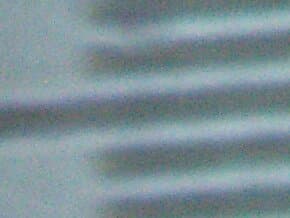 Снимок под микроскопом