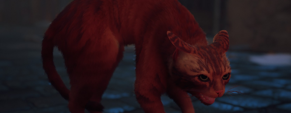 Физические издания Stray для PS5 поступят в Россию с РРЦ 4999 рублей