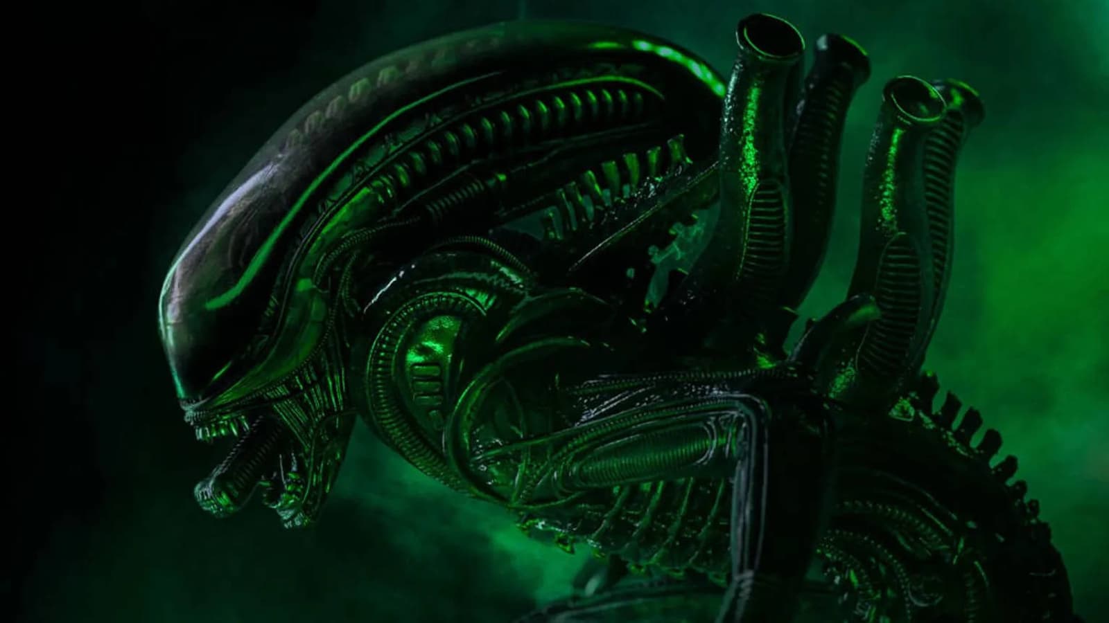 Iron Studios открыла предзаказ на статую ксеноморфа-трутня из вселенной «Чужого»