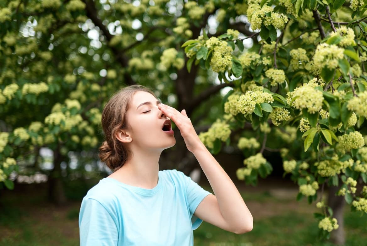 «Будьте здоровы!»: в «Яндекс Погоде» расширились функции для аллергиков