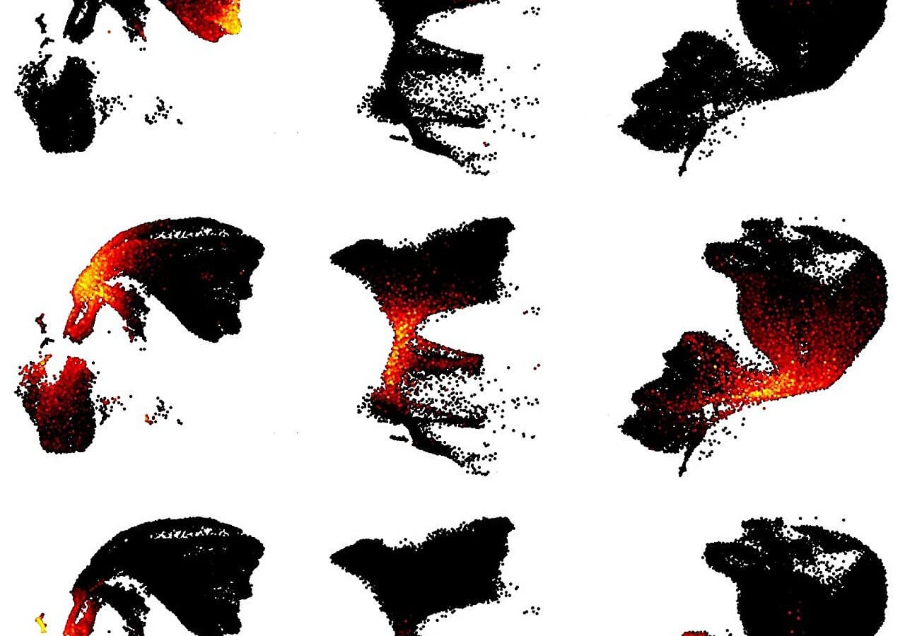 Создан самый подробный молекулярный атлас коры мозга человека