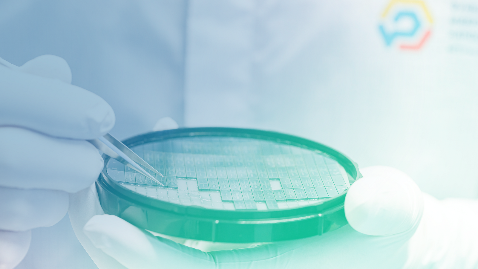 Первая партия — бесплатно для ученых России: Бауманка запускает контрактное производство передовых фотонных чипов