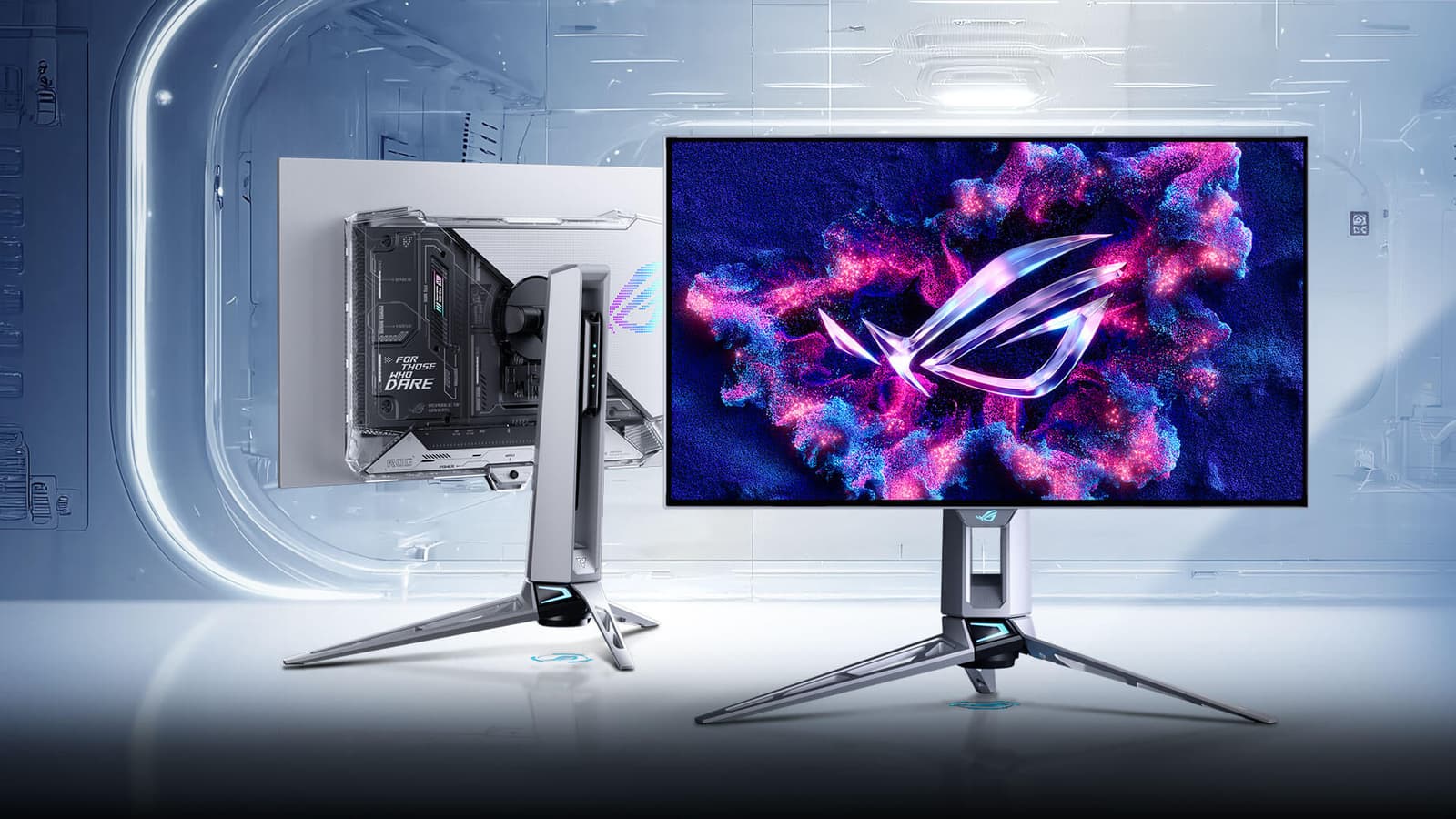 Asus всё ещё популярнее Samsung. Компания снова возглавила рынок OLED-мониторов, который за год вырос почти вдвое