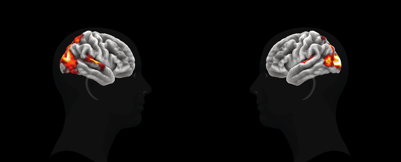 Meta* представили TRIBE v2 — модель, предсказывающую активность мозга по видео, аудио и тексту