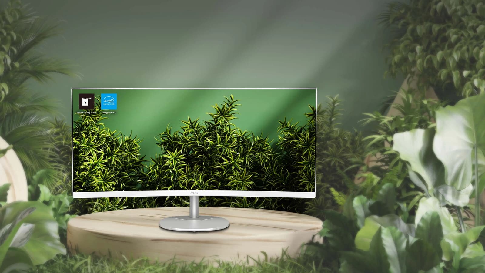 34 сверхширокоформатных дюйма всего за 240 долларов. MSI представила монитор Pro MP341CQW E12