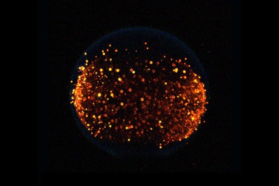 NASA изучит распространение огня на Луне