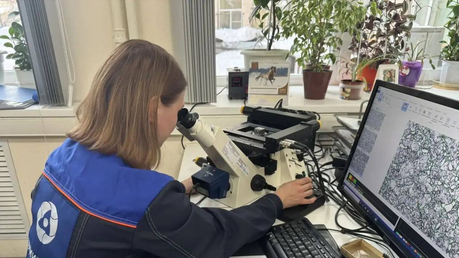 В России тестируют новый материал для токамака с реакторными технологиями