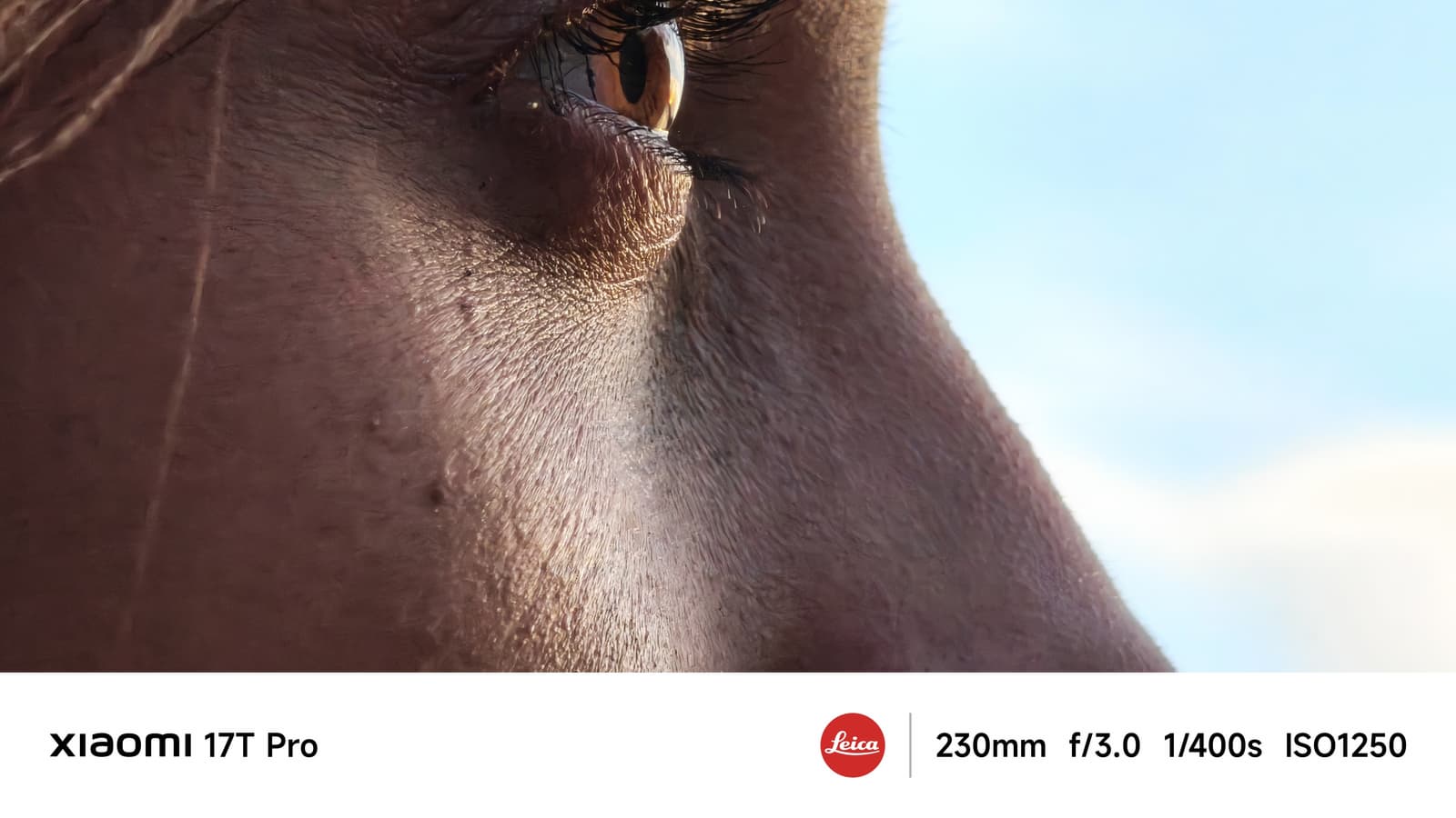 Смартфоны Xiaomi 17T и Xiaomi 17T Pro уже в России: топовые Leica-камеры с оптическим зумом, аккумуляторы до 7000 мА·ч и дисплеи до 144 Гц