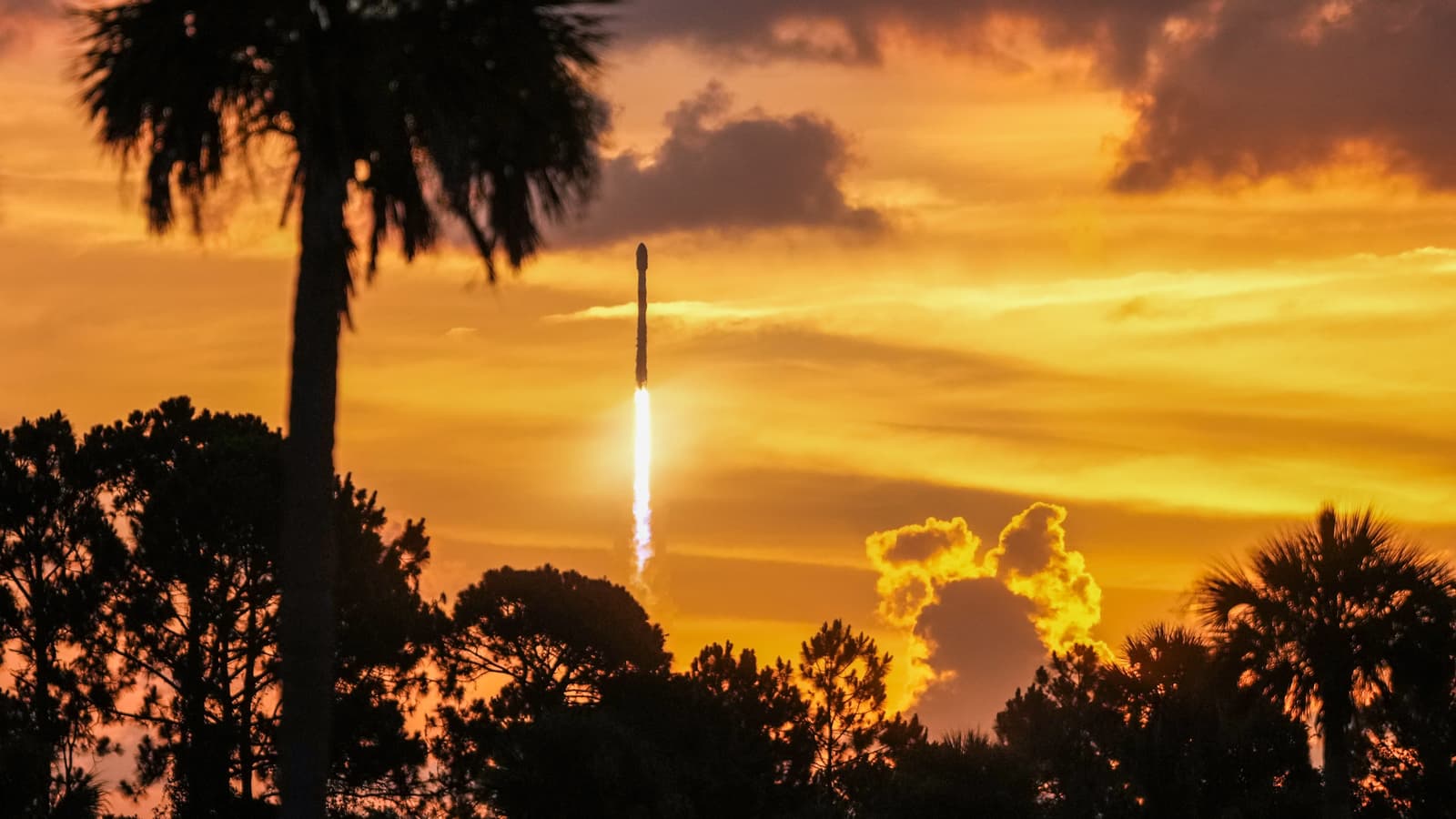 Небесное шоу от SpaceX: появились эффектные фото запуска Falcon 9 и вывода новых спутников Starlink