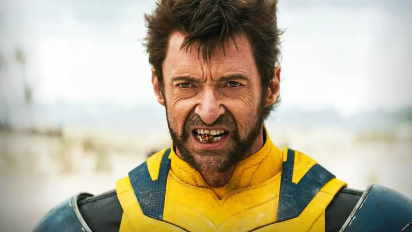 Marvel is developing a solo Wolverine movie and several mutant projects — insider Marvel is developing a solo Wolverine movie and several mutant projects — insider
