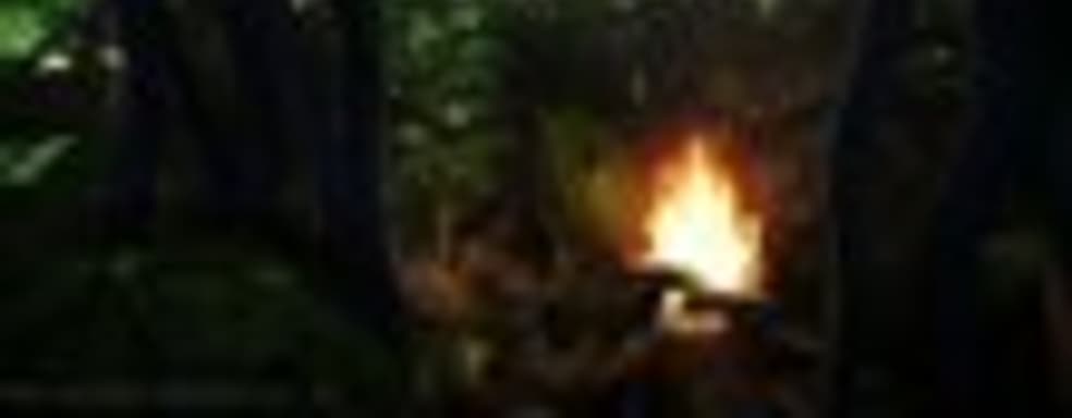 The Forest - ужастик от мастеров по спецэффектам из Голливуда