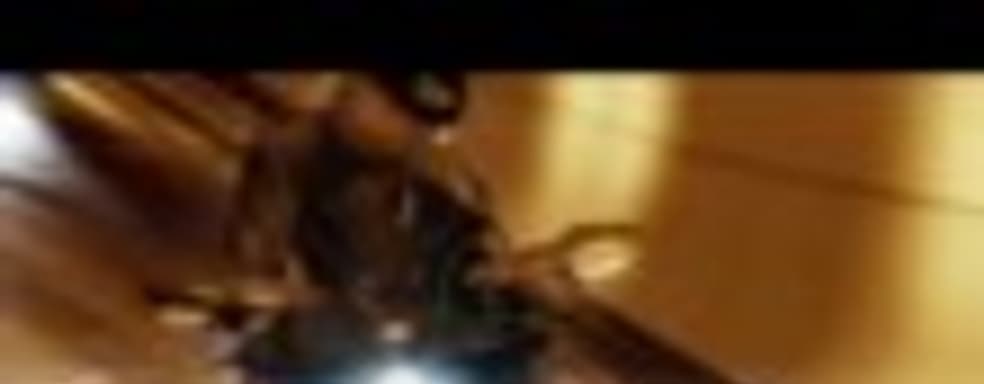 Вышло дополнение The Crew: Wild Run