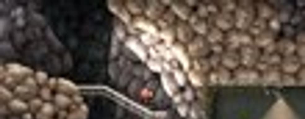 Mojang издаст платформер Cobalt