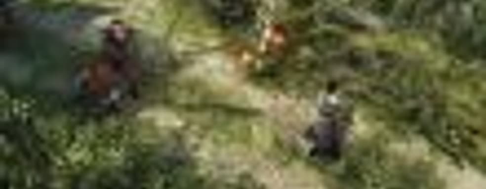 Divinity: Original Sin 2 появится в Steam Early Access в сентябре этого года