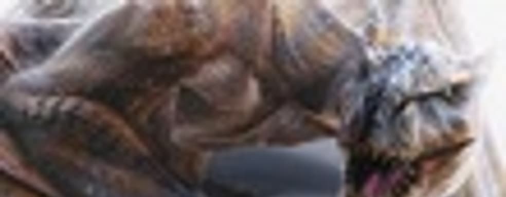 583 тыс. копий Monster Hunter 3 за 2 дня