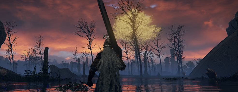 Elden Ring and Dark Souls played on violin. Gamer replays FromSoftware hits on musical instrument