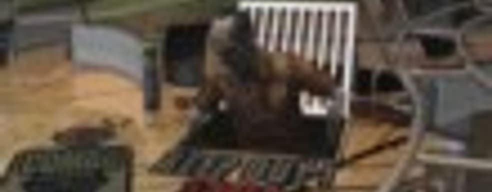 Zen Studios делает The Walking Dead Pinball 