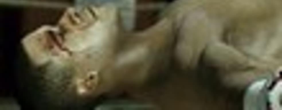 15 минут Fight Night: Champion