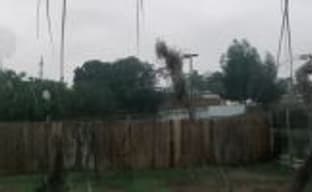 Крипота: вот так могут выглядеть твари из Death Stranding в нашем мире