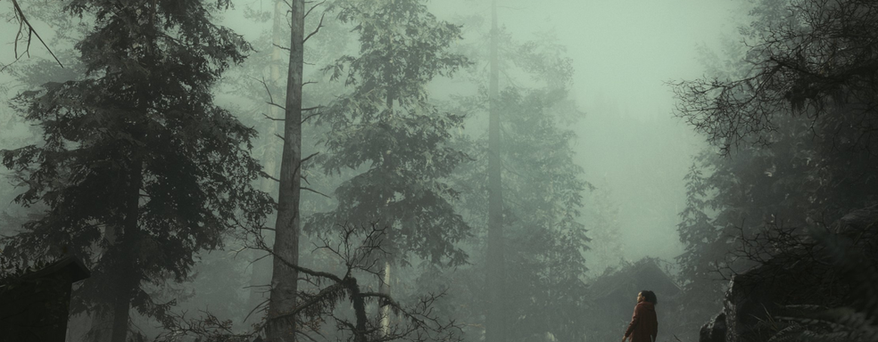 Сравнение DLSS и PSSR в Alan Wake 2 подтверждает превосходство NVIDIA. Digital Foundry изучила возможности технологий