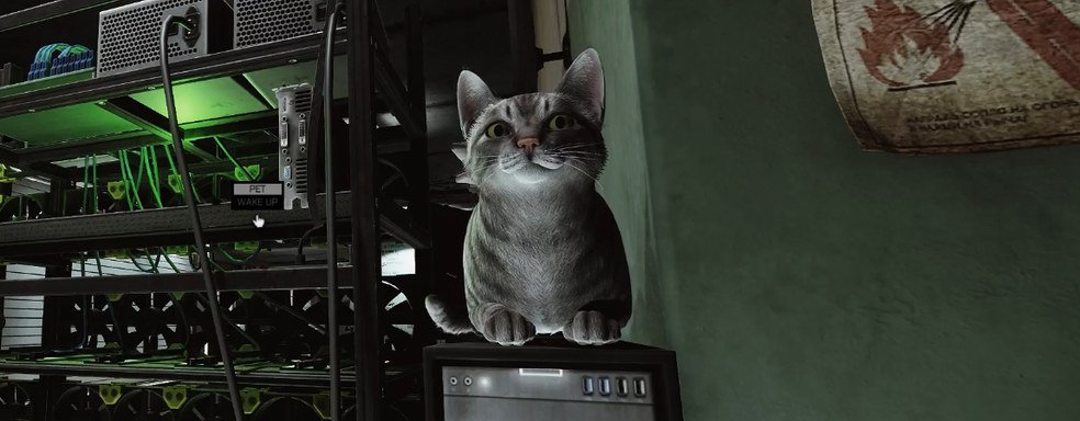 Моддер Escape from Tarkov добавил мяукающего кота, которого можно погладить