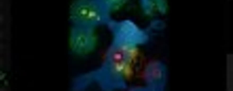 BOID - indie-RTS от авторов No Time To Explain