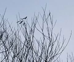 Видеосъемка фотоаппаратом. Fujifilm X-T2