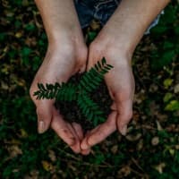 Caring for Nature: Electronic Document Management