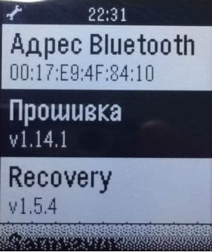 Скриншот Pebble