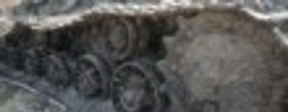 Wargaming подняли со дна Дона советский танк КВ-1